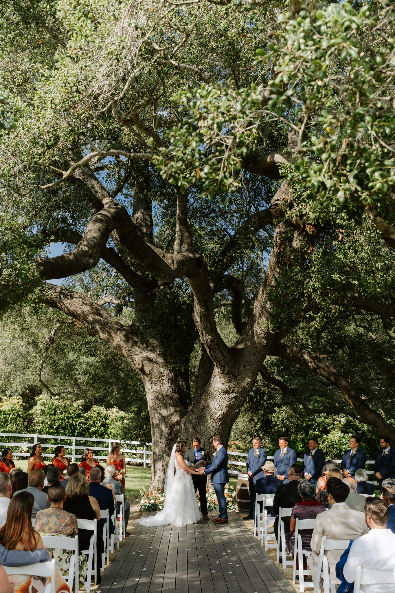 bride and groom at oak tree ceremony at Temecula wedding