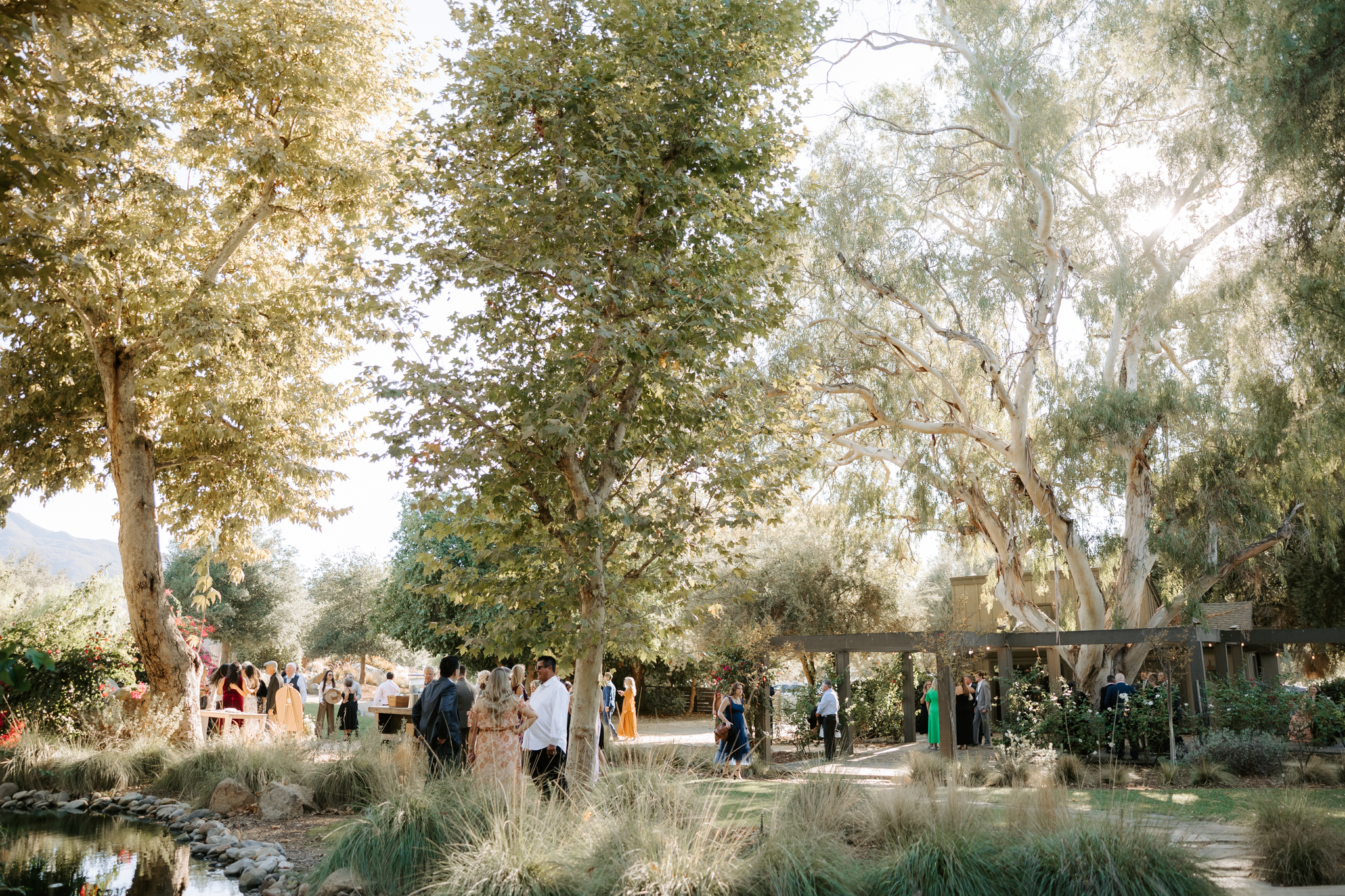 people mingling during cocktail hour at Temecula wedding